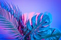 Tropical leaves in vibrant bold gradient holographic neon colors