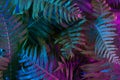 Tropical leaves in vibrant gradient holographic neon colors.