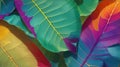 Tropical leaves vivid vibrant color background