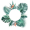 Tropical leaves with white copy space background.Nature and summer