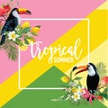 Tropical Lemon, Orange, Pomegranate Fruits, Flowers and Toucan Birds Summer Banner, Graphic Background