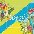 Tropical Lemon, Pomegranate Fruits, Flowers and Parrot Birds Summer Banner, Graphic Background