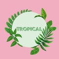 tropical lettering poster with green leafs in circular frame