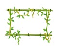 Tropical liana frame, jungle plant branches with leaves. Tropical climbing liana vine with green leaves. Cartoon lianas