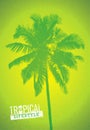 Tropical Lifestyle Summer Beach Party. Creative Vector Poster Concept. Palm Tree On Distressed Background illustration