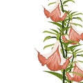 Tropical lilies elegant card. A spring decorative bouquet.