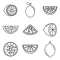 Tropical lime icons set, outline style