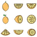 Tropical lime icons set vector color