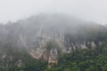 Tropical Limestone Cliffs with Fog