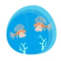 Tropical lionfishes on blue background.