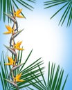 tropical luau palms Background