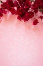 Tropical magenta bougainvillea flowers border on modern pink textured background Royalty Free Stock Photo