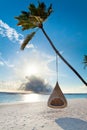 Tropical maldives beach with palm and swing Royalty Free Stock Photo