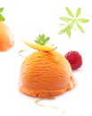 Tropical mango icecream dessert