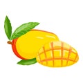 Tropical mango icon cartoon vector. Juice fruit