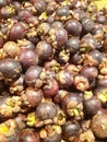 Tropical mangosteen fruit from Indonesia.