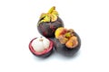 Tropical mangosteen fruit