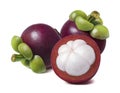 Tropical mangosteen isolated on white background