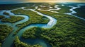 tropical mangrove forest AI generated Royalty Free Stock Photo