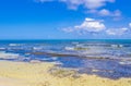 Tropical mexican beach cenote Punta Esmeralda Playa del Carmen Mexico Royalty Free Stock Photo