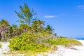 Tropical mexican beach cenote Punta Esmeralda Playa del Carmen Mexico Royalty Free Stock Photo