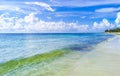 Tropical mexican beach panorama Playa 88 Playa del Carmen Mexico