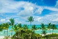 Tropical Miami beach palms near the ocean
