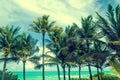 Tropical Miami beach palms near the ocean, retro styled