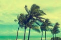Tropical Miami Beach Palms, retro styled