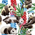 Tropical mix bamboo tree and panda pattern in a watercolor style. Royalty Free Stock Photo