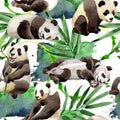 Tropical mix bamboo tree and panda pattern in a watercolor style.