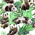 Tropical mix bamboo tree and panda pattern in a watercolor style.