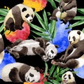 Tropical mix bamboo tree and panda pattern in a watercolor style. Royalty Free Stock Photo
