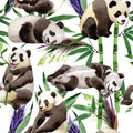 Tropical mix bamboo tree and panda pattern in a watercolor style.