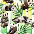 Tropical mix bamboo tree and panda pattern in a watercolor style.