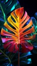 Tropical monstera leaf bathed in vibrant neon light, a 3D spectacle
