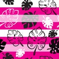 Tropical Monstera Leaf Seamless Pattern on White and Pink Striped Background Royalty Free Stock Photo