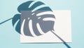 Tropical monstera leaf shadow casts abstract pattern on pastel blue background Royalty Free Stock Photo