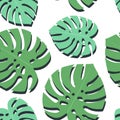Tropical monstera leaves seamless pattern. Green palm leaves background. Royalty Free Stock Photo