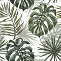 Tropical monstera and palm leaves seamless pattern. Watercolor green exotic plant repeat print. Summer hawaiian wallpapers Royalty Free Stock Photo