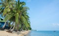 Tropical morning sand beach with coconut palm trees and clear blue sky. Thailand, Samui island, Maenam