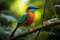 Tropical Motmot bird branch. Generate Ai