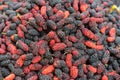 Tropical mulberry fruits with black and red one Royalty Free Stock Photo