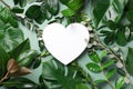 Tropical nature background with green leaves and white heart shaped paper for copy space. Top view. Flat lay. Creative advertising Royalty Free Stock Photo
