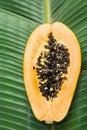 Tropical Nature Background Ripe Halved Papaya on Large Green Palm Leaf. Healthy Food Lifestyle Vitamins Summer Travel Vacation