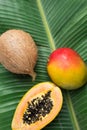 Tropical Nature Background Ripe Mango Papaya Coconut on Large Green Palm Leaf. Healthy Food Lifestyle Vitamins Summer Royalty Free Stock Photo