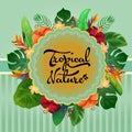 Tropical nature card summer colored leaves decoration