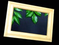 Tropical nature green leaf in picture frame on black background Royalty Free Stock Photo