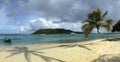 Caribbean wild beach with palm trees.