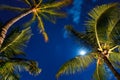 Tropical Night Sky